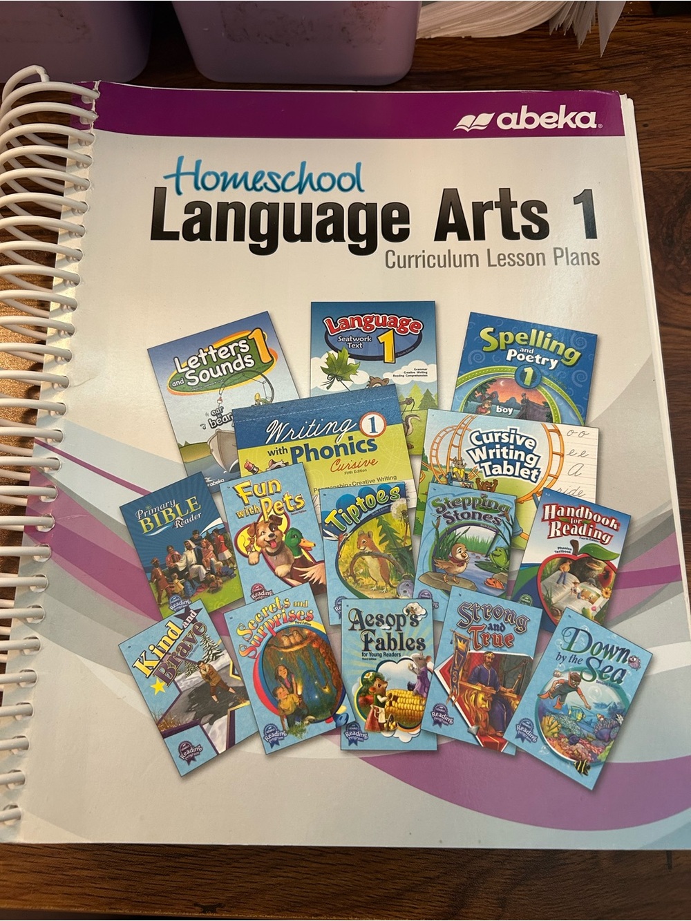Abeka Language Arts 1 Curriculum Lesson Plans lesson Plans